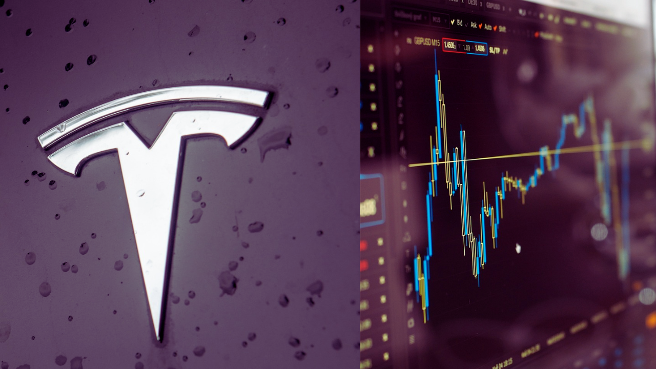 tesla shares